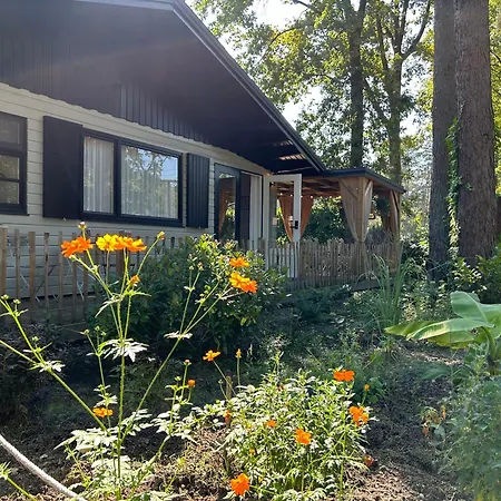 Maurice Chalet *